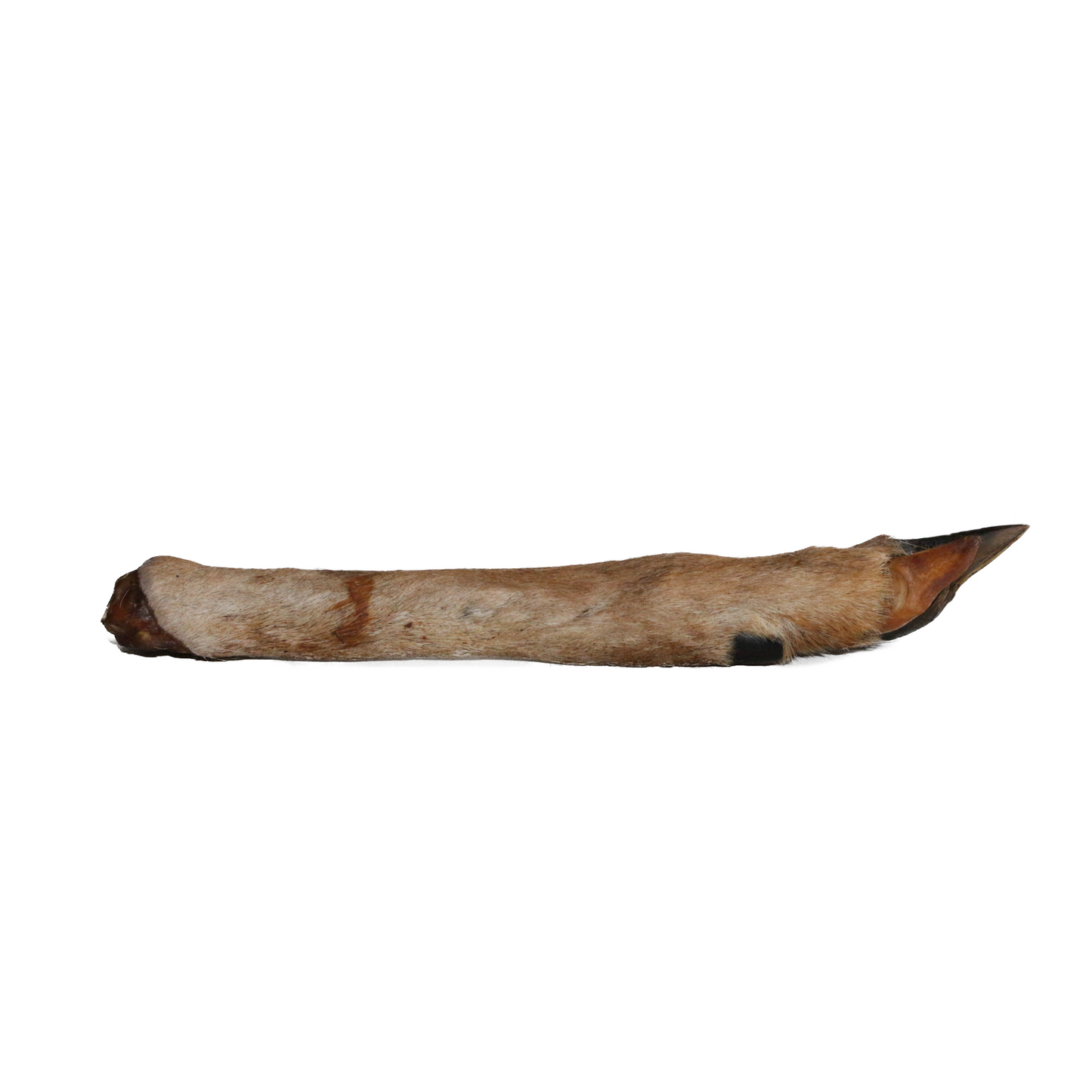 Rehunterbein mit Fell (1 Stk.)