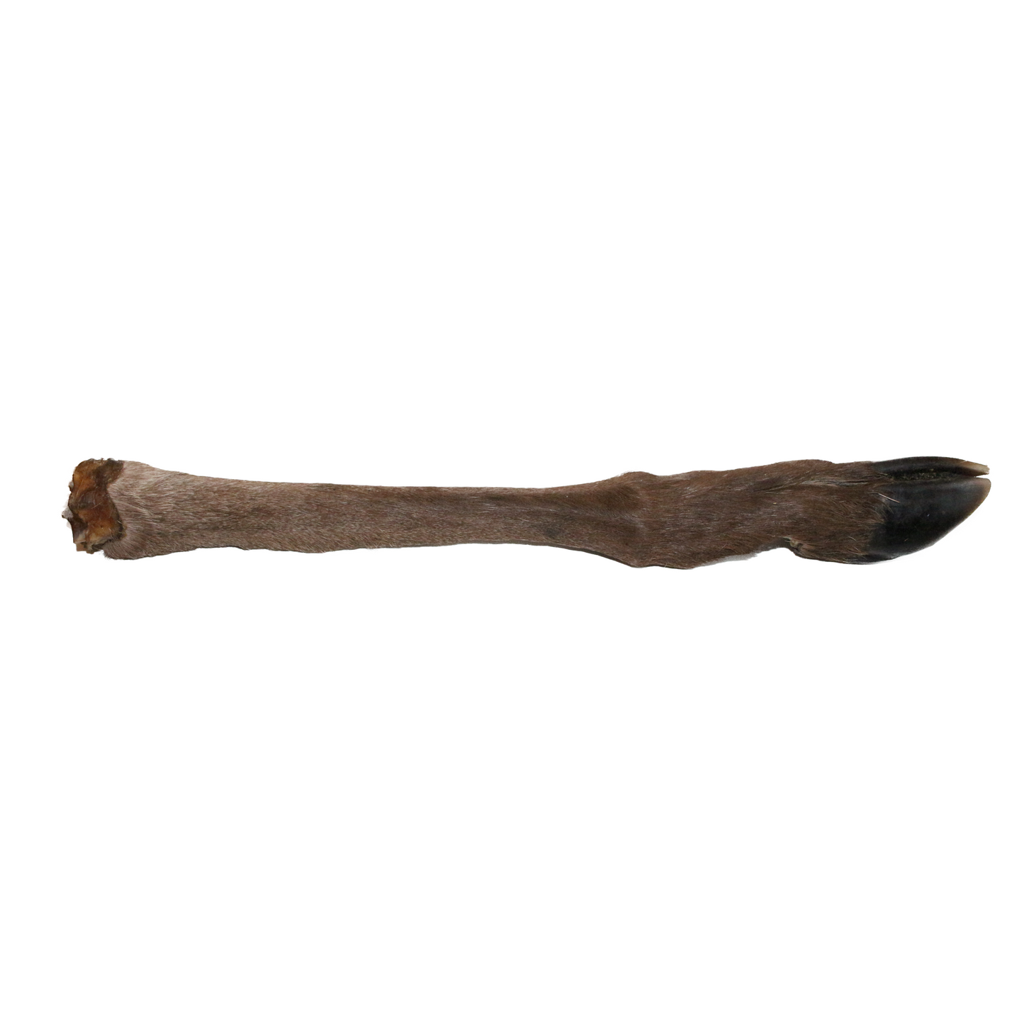 Hirschunterbeine mit Fell