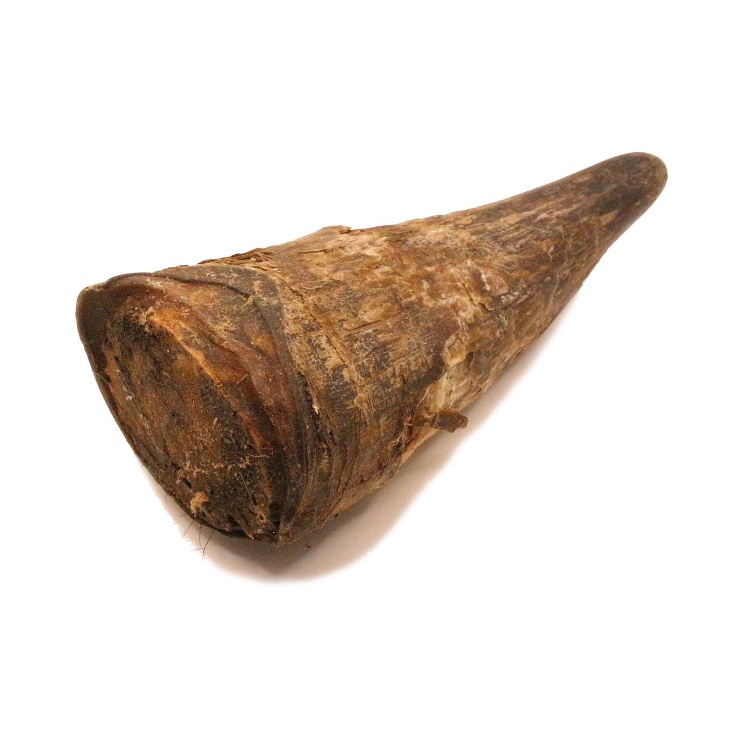 Rinderhorn (1 Stk., 3 Stk., 5 Stk.)