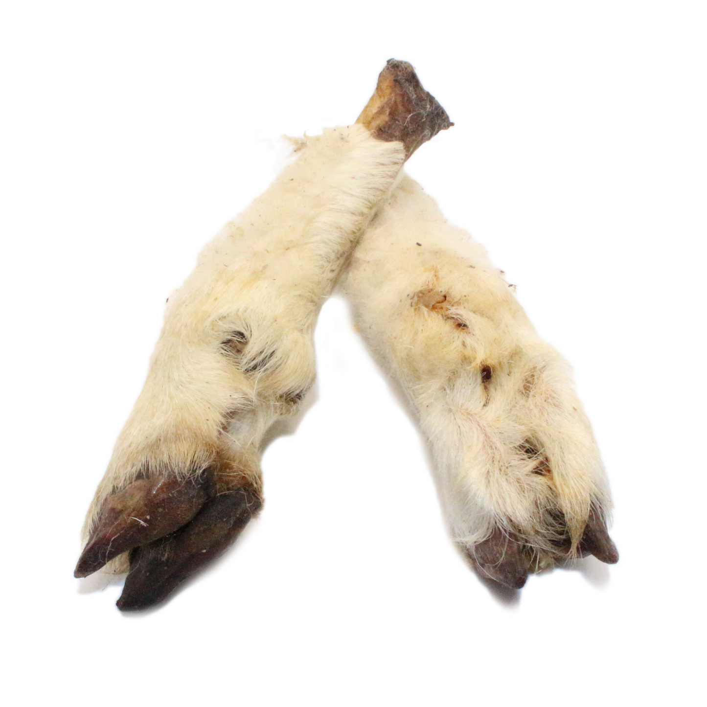 Lammunterbeine mit Fell