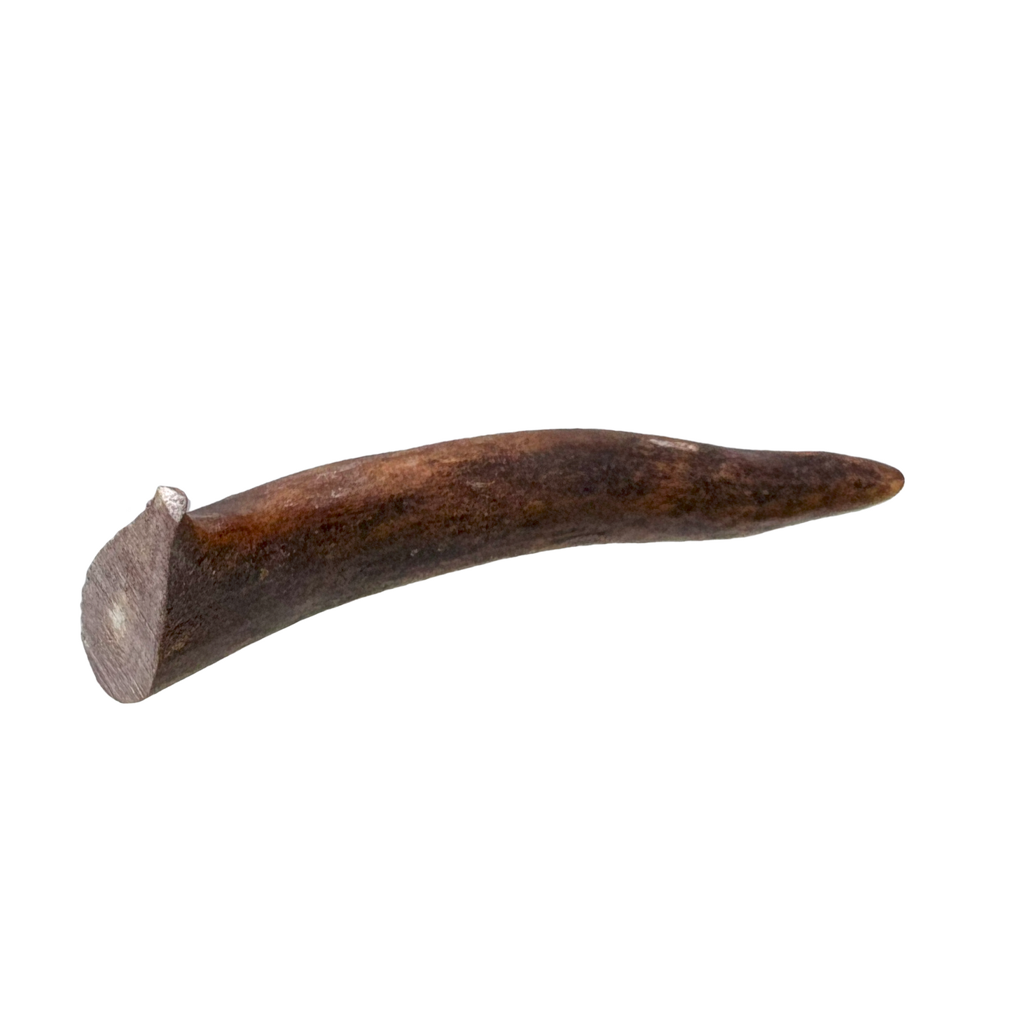 Geweihstück (S,M,L)