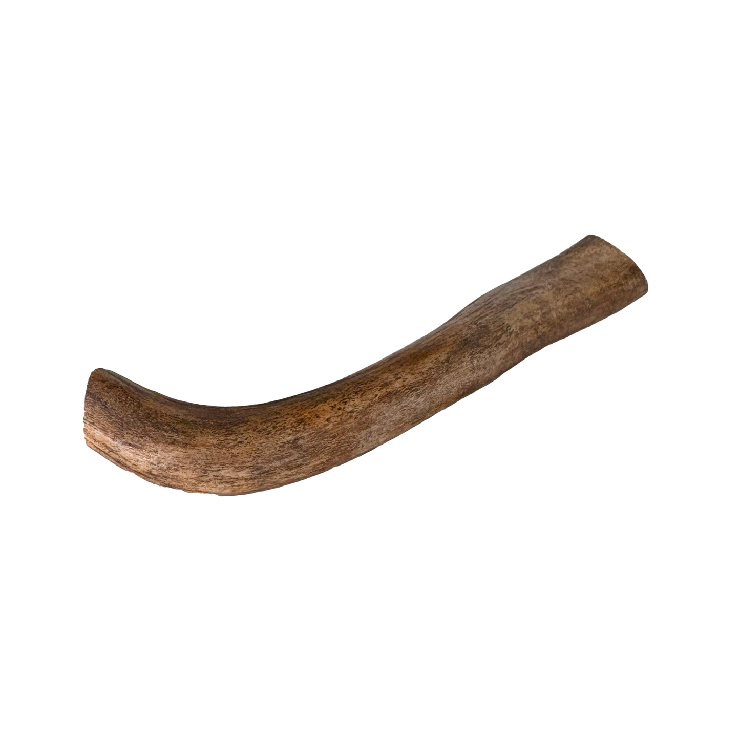 Geweihstück (S,M,L)