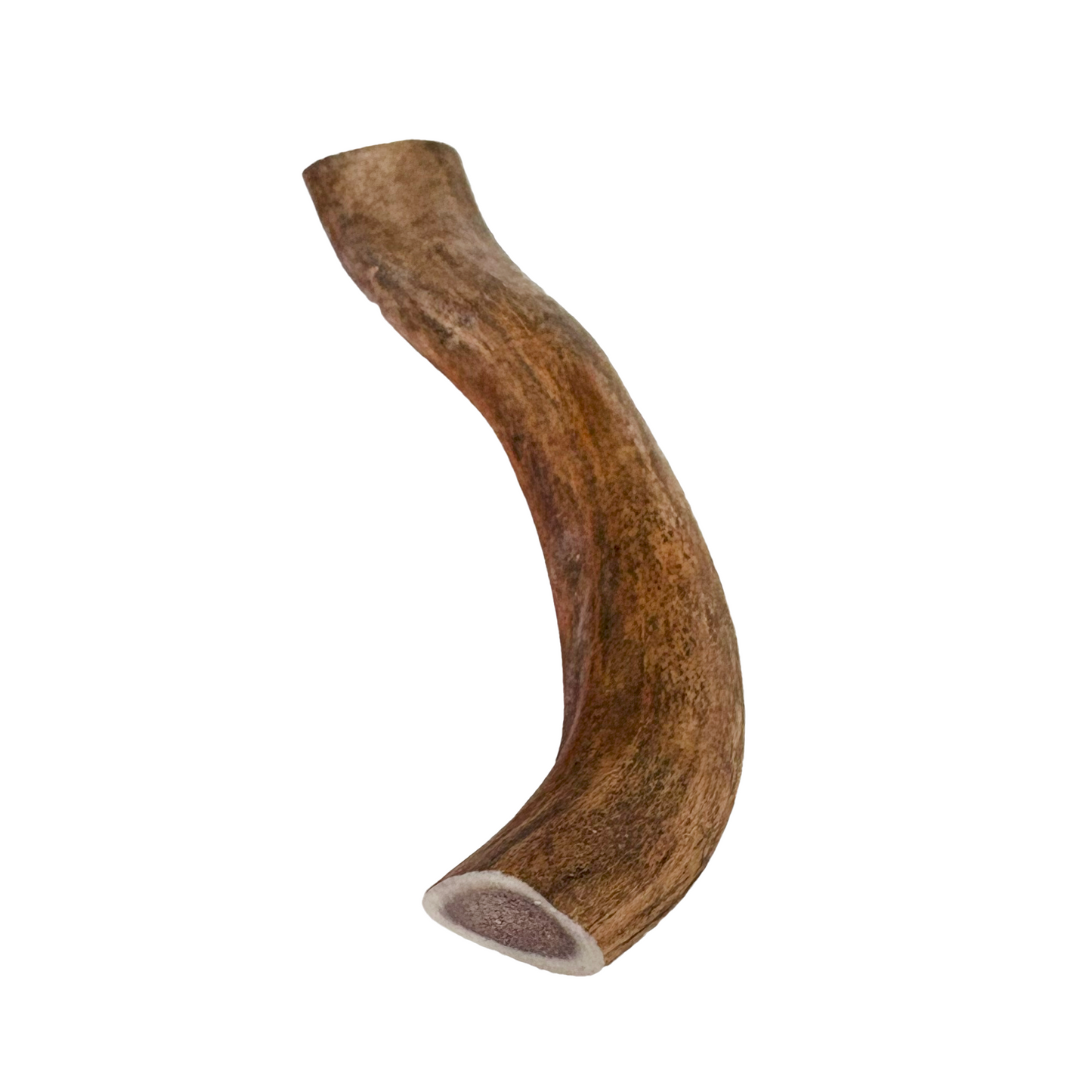 Geweihstück (S,M,L)