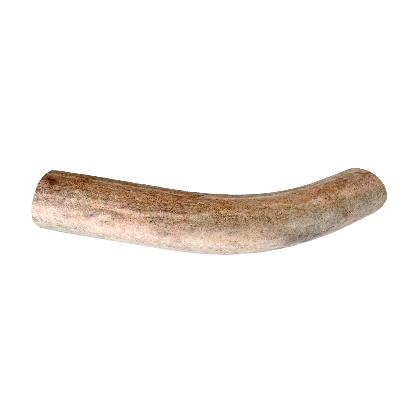 Geweihstück (S,M,L)