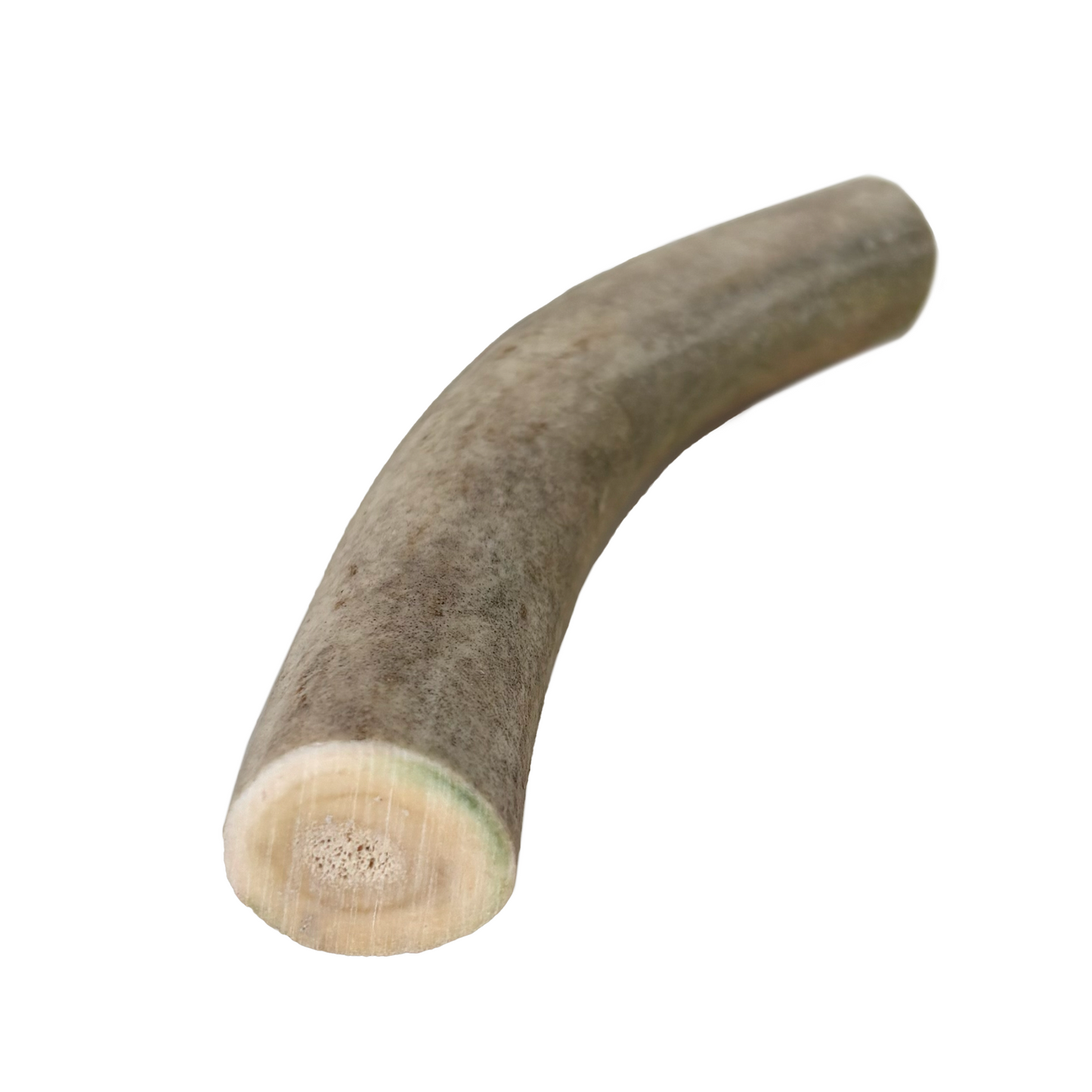 Geweihstück (S,M,L)