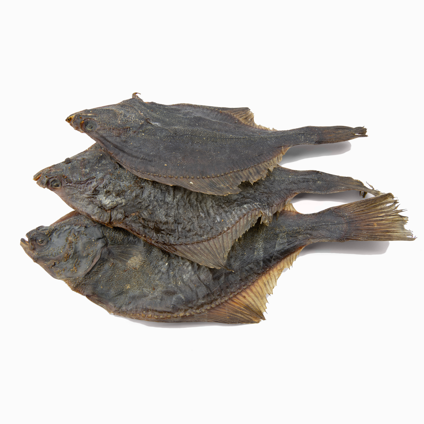 Flunder (1 Stk., 250 g, 500 g, 1 kg)