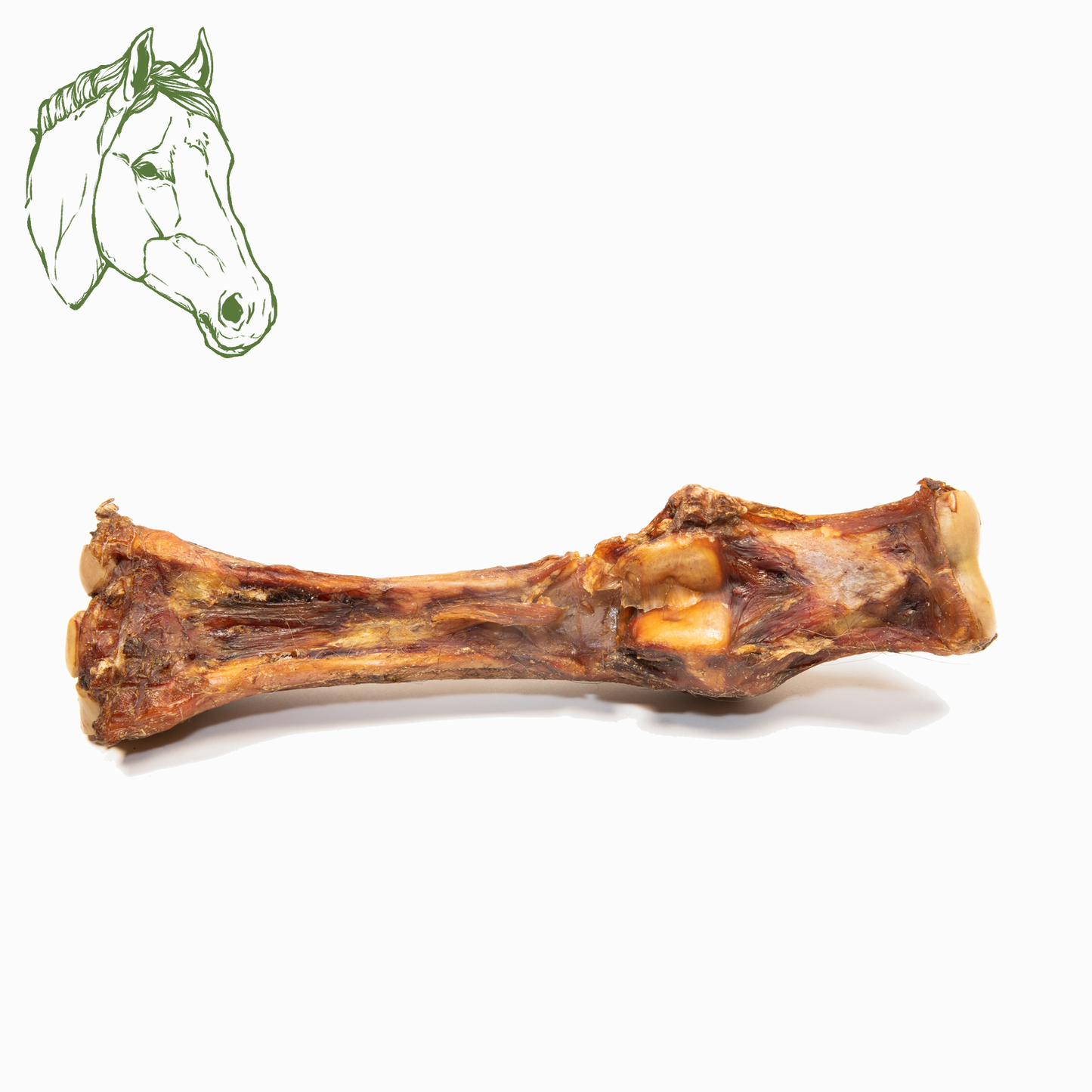Pferdeunterbein