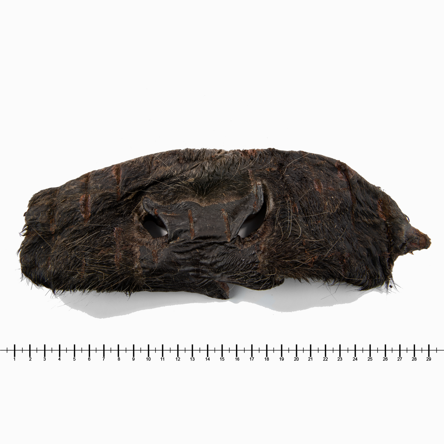 Rindernasenmasken ohne Fell (1 Stk., 500 g, 1 kg)