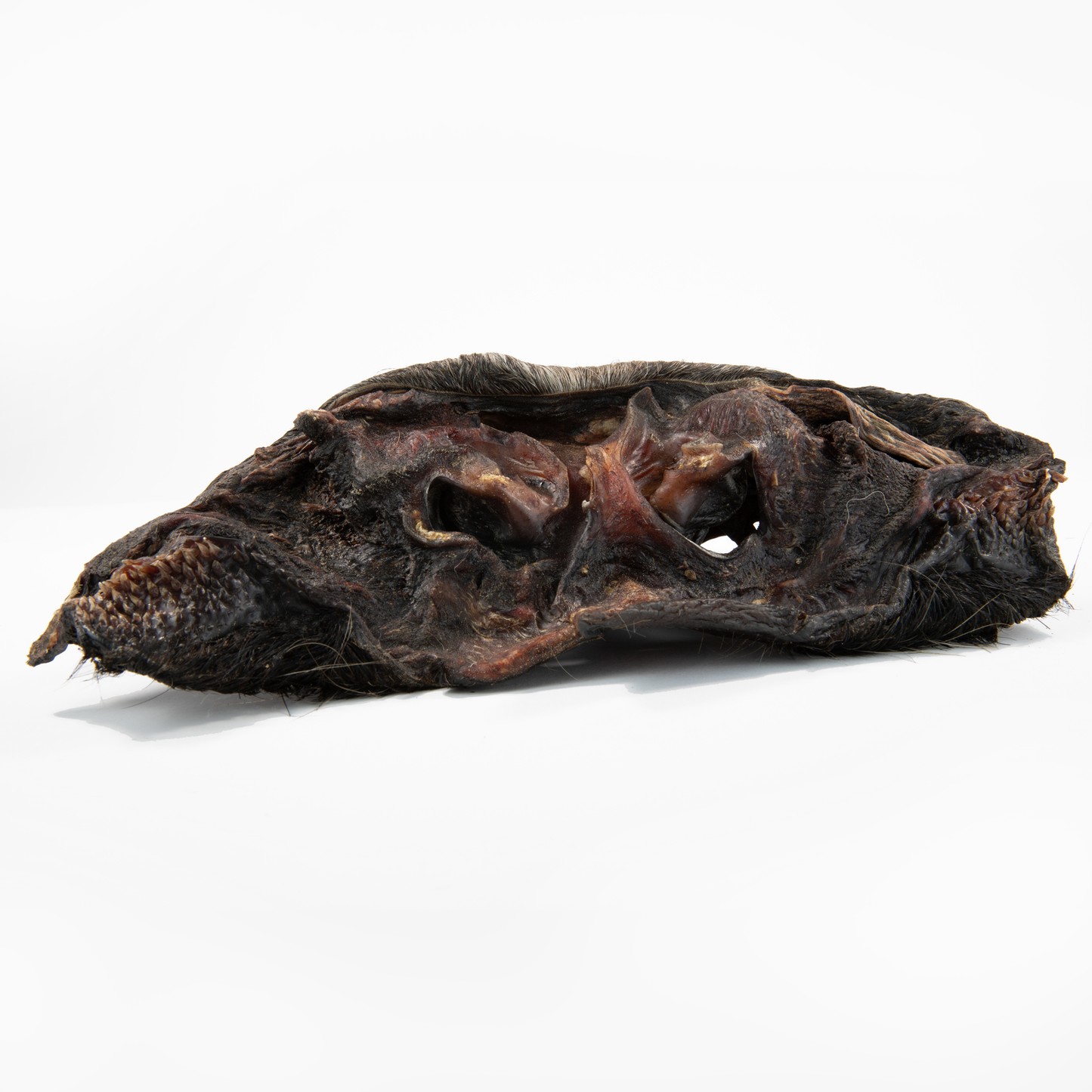 Rindernasenmasken ohne Fell (1 Stk., 500 g, 1 kg)