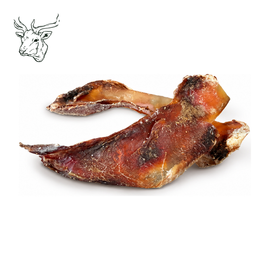 Hirschschulterblatt