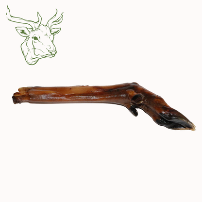 Hirschunterbeine