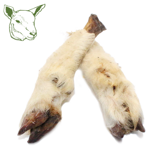Lammunterbeine mit Fell