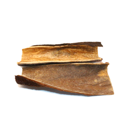 Pferdekopfhaut mit Fell (250 g, 500 g, 1 kg)