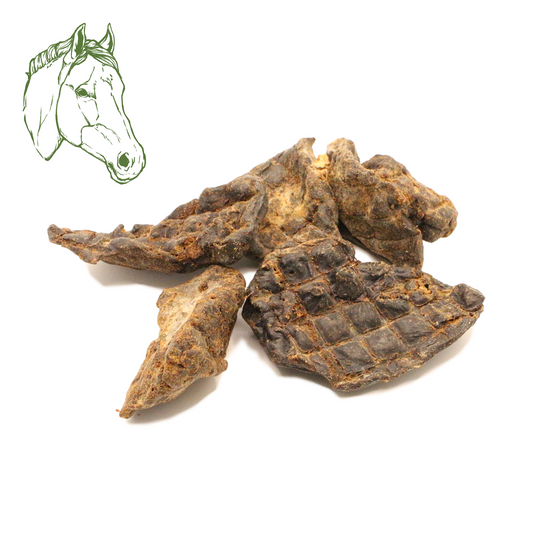 Pferdeleber (250 g, 500 g, 1 kg)