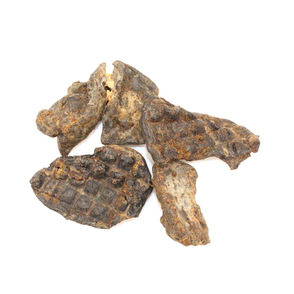Pferdeleber (250 g, 500 g, 1 kg)