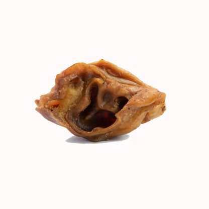 Schweineohrmuscheln