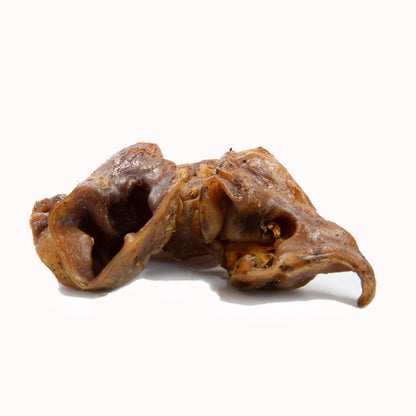 Schweineohrmuscheln