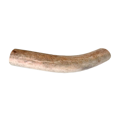 Geweihstück (S,M,L)