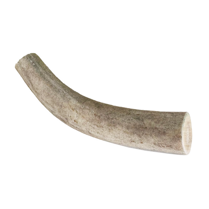 Geweihstück (S,M,L)