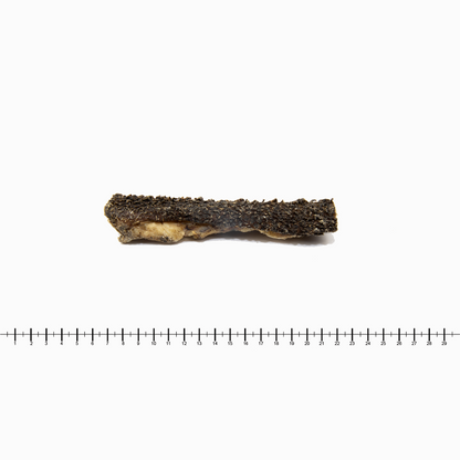 Rinderpansen