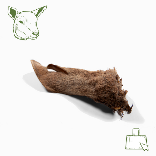 Lammohren mit Fell