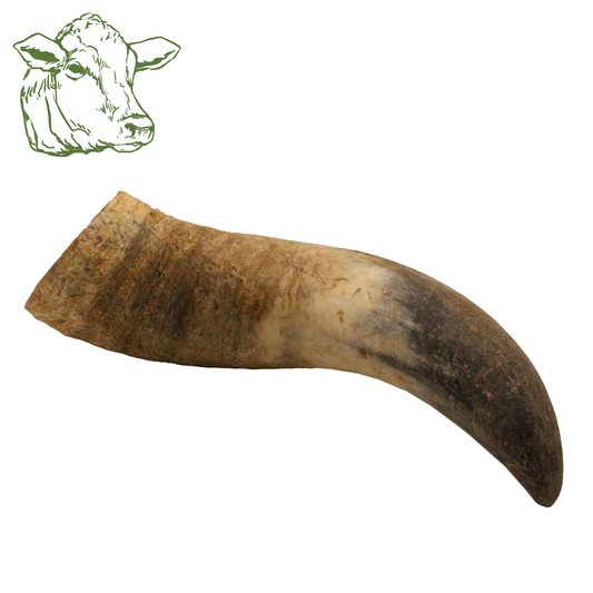 Rinderhorn (1 Stk., 3 Stk., 5 Stk.)