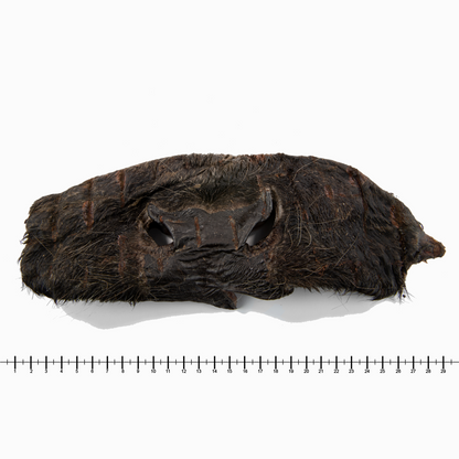 Rindernasenmasken ohne Fell (1 Stk., 500 g, 1 kg)