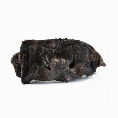 Rindernasenmasken ohne Fell (1 Stk., 500 g, 1 kg)