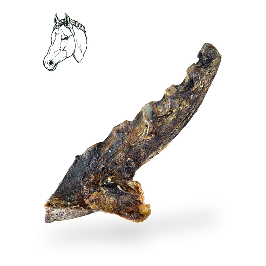 Pferdebrust