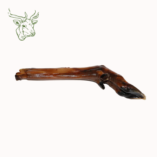 Hirschunterbeine